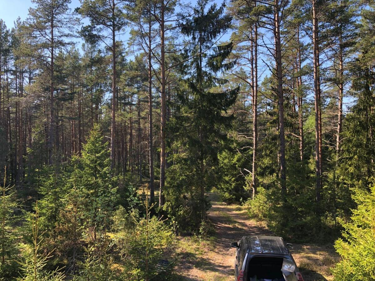 Veela Metsamaja Villa Noarootsi Exteriör bild